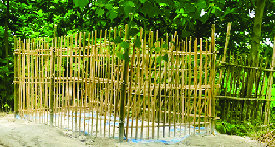 Image of মো: রবিউল ইসলাম রাহুল